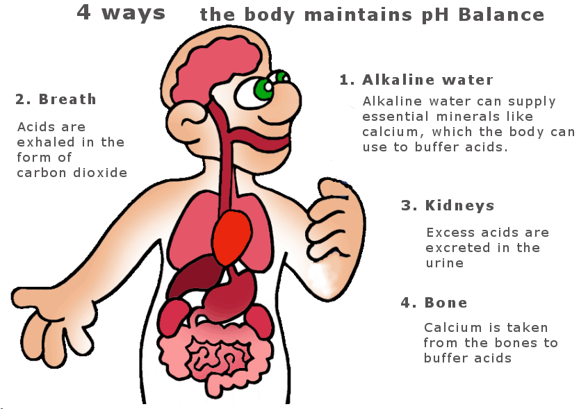 alkaline-water-ph-balance 4 ways to maintain pH balance infographic
